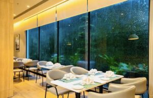 Stylish Glass Office Partitions That Add Privacy and Elegance to Modern Workspaces