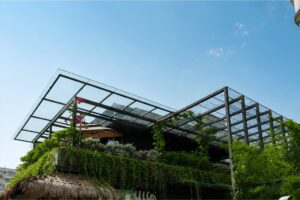 Authentic Interior Flavour: How Green Interio Fusion Shaped the Extraordinary Fine-Dining Experience at Wok Street